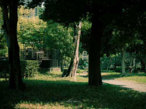 #ぶいみみ写真部 #mo4ca_fragments