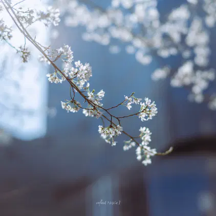 #ぶいみみ写真部 #mo4ca_fragments