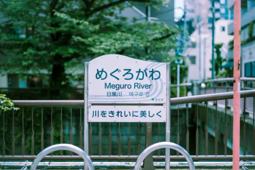 #mo4ca_fragments #ぶいみみ写真部