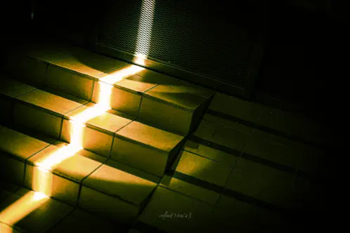 #mo4ca_fragments #ぶいみみ写真部