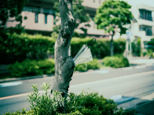 #ぶいみみ写真部 #mo4ca_fragments 

日常に潜む「は？」